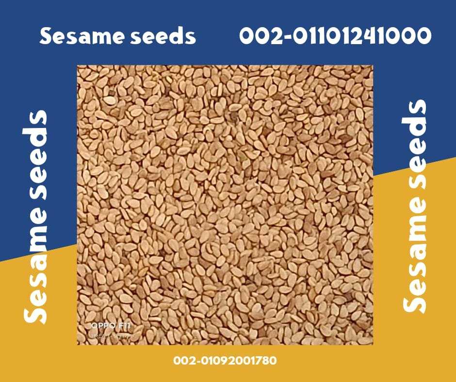 Sesame Seeds Products at Factory Prices 00201101241000 Sesame seeds are a versatile ingredient used