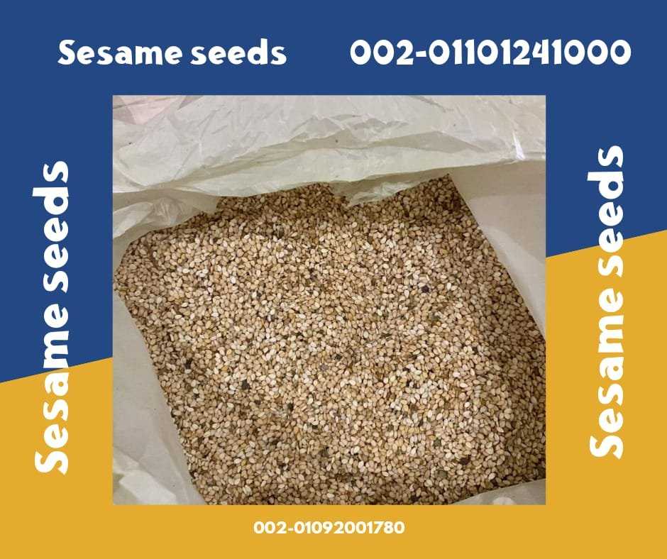 Sesame Seeds Products at Factory Prices 00201101241000 Sesame seeds are a versatile ingredient used