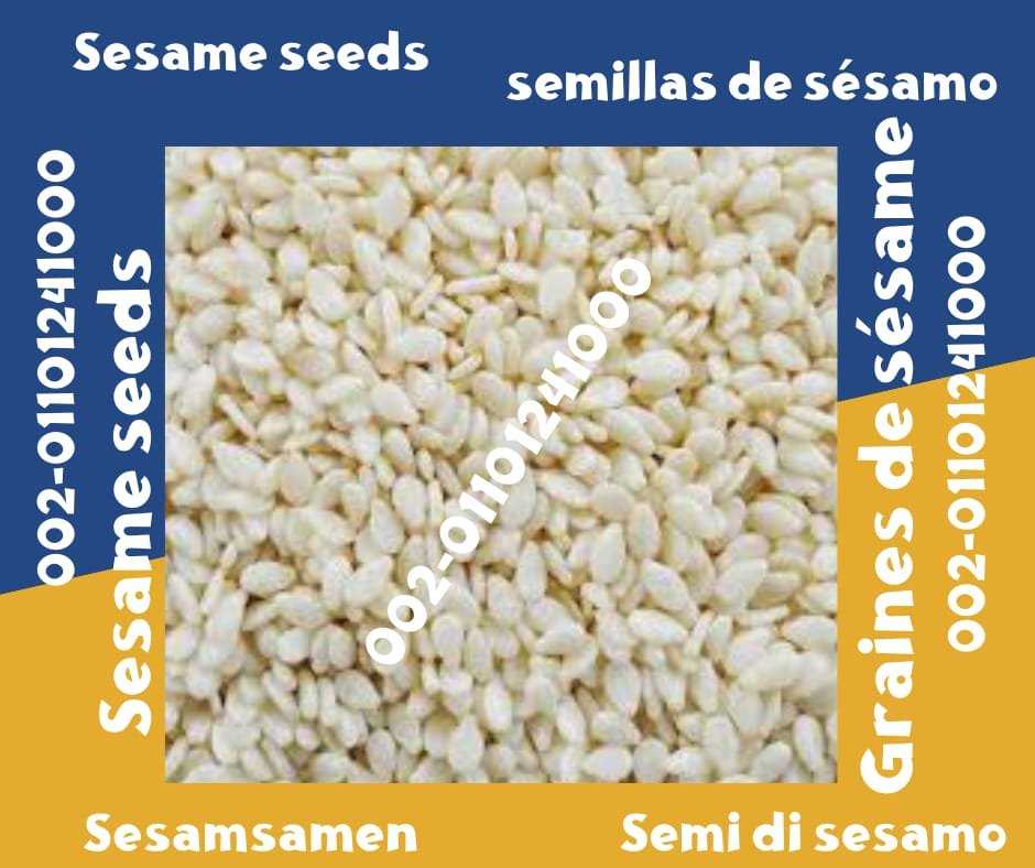 Sesame Seeds Products at Factory Prices 00201101241000 Sesame seeds are a versatile ingredient used