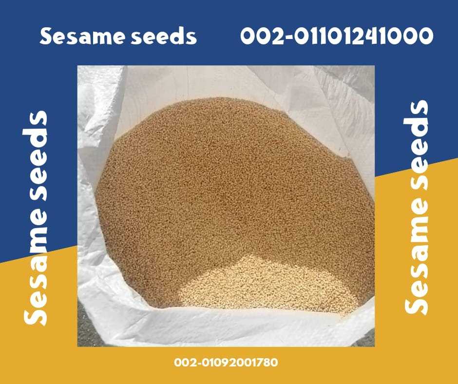 Sesame Seeds Products at Factory Prices 00201101241000 Sesame seeds are a versatile ingredient used