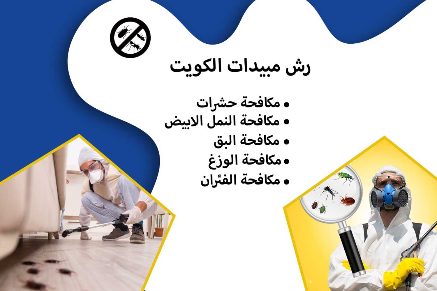 شركة مكافحة حشرات الكويت