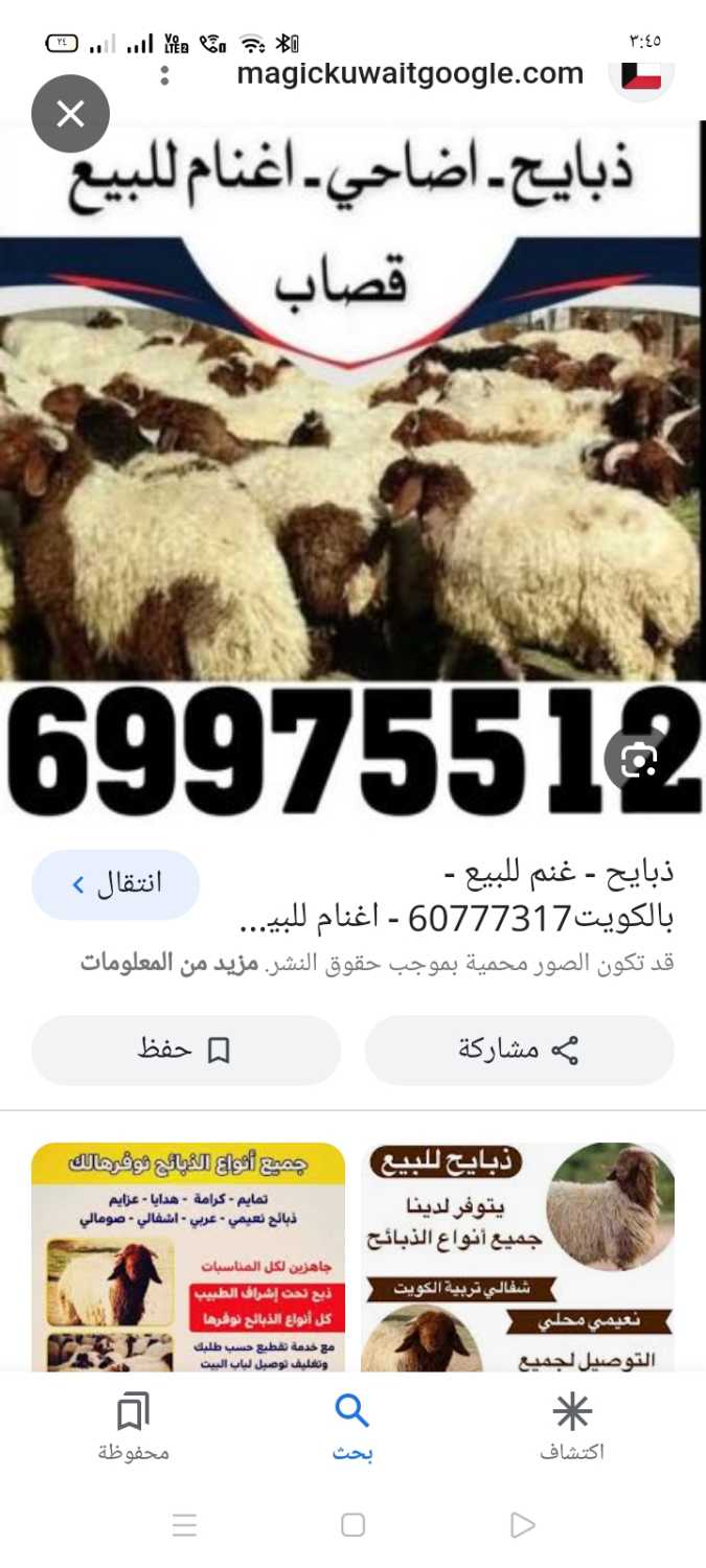 ذبايح الكويت 69975512 ابوعلى كما يوجد قصاب