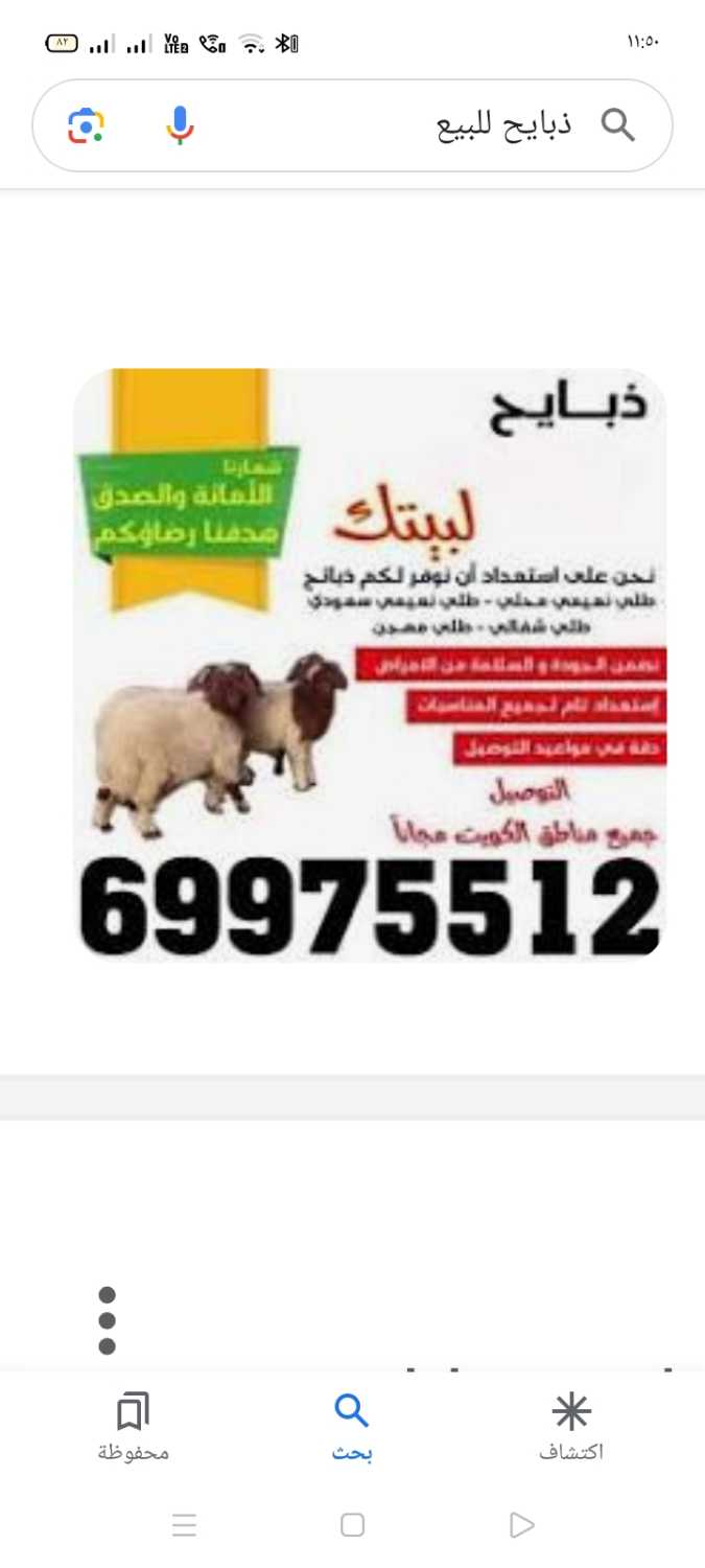 ذبايح للبيع 69975512