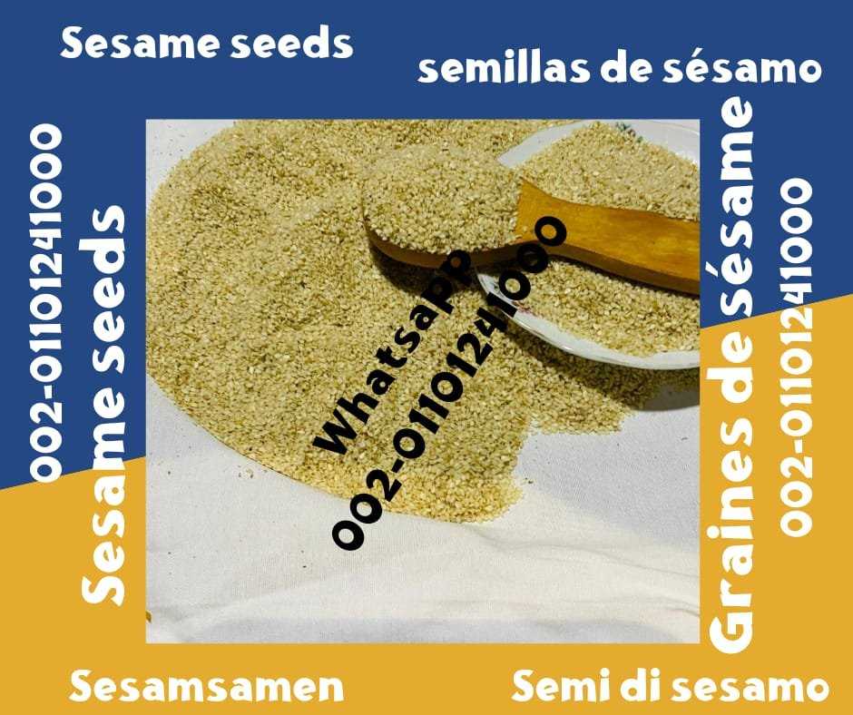 The best sesame seeds for sale 00201092001780