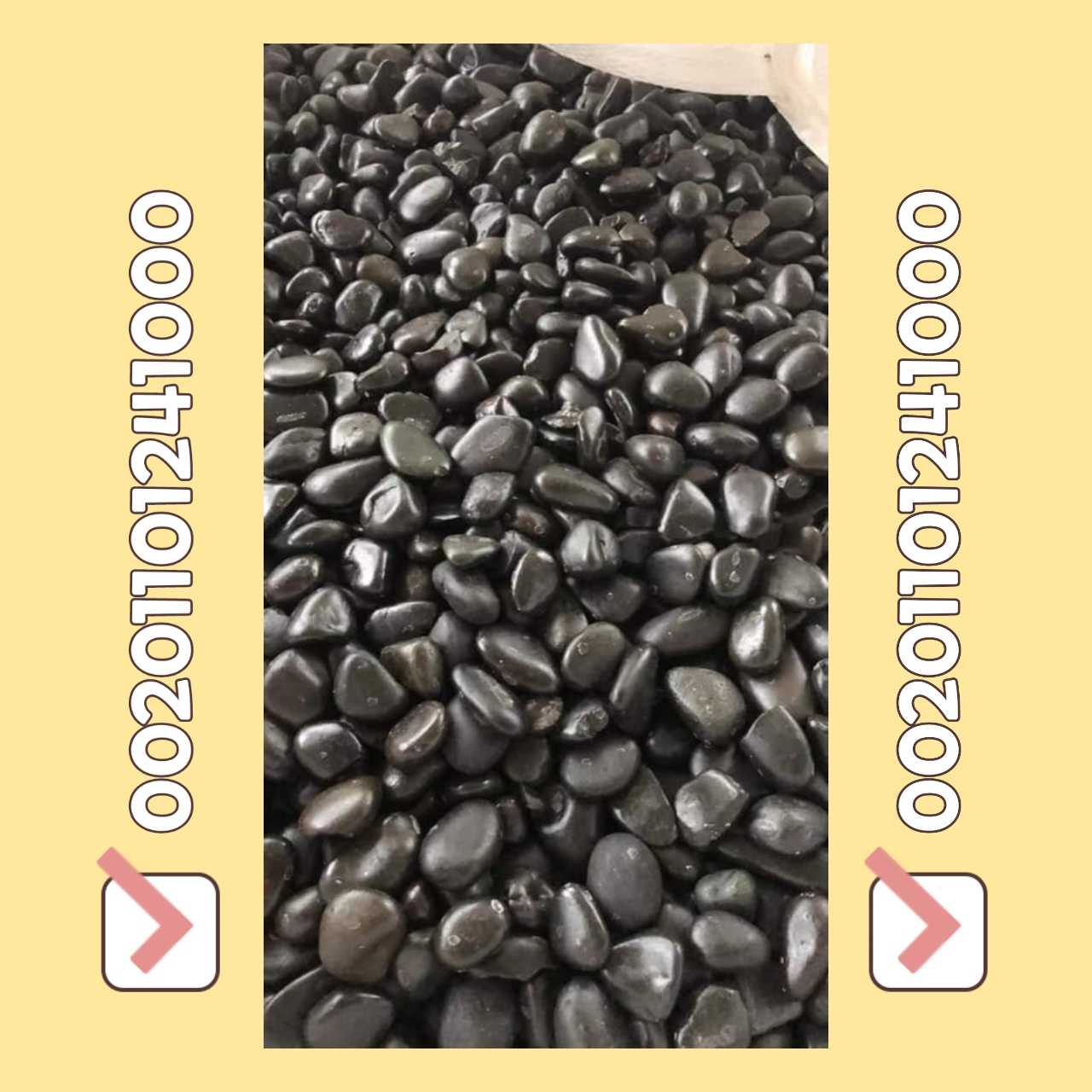 بيع زلط ابيض اسود احمر pebbles for sale 00201101241000في المدينة المنو