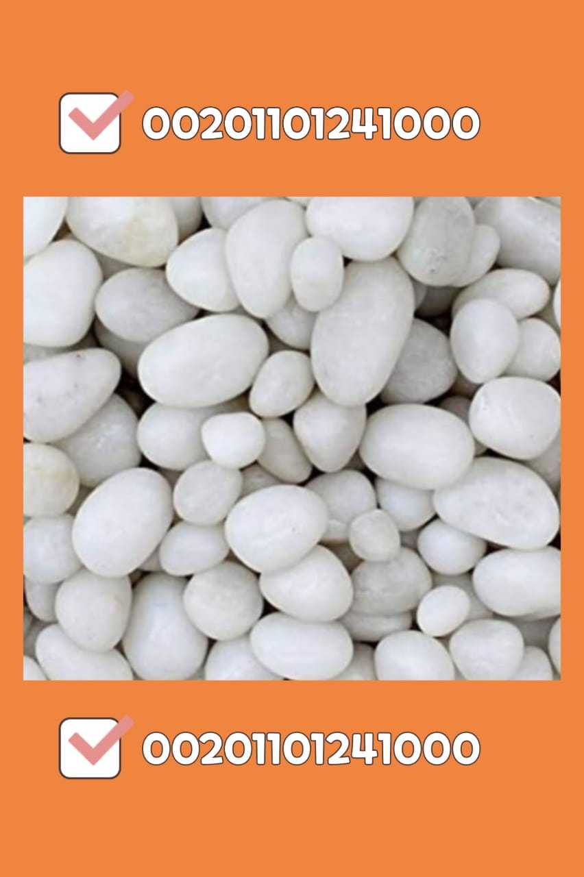 بيع زلط ابيض اسود احمر pebbles for sale 00201101241000في المدينة المنو