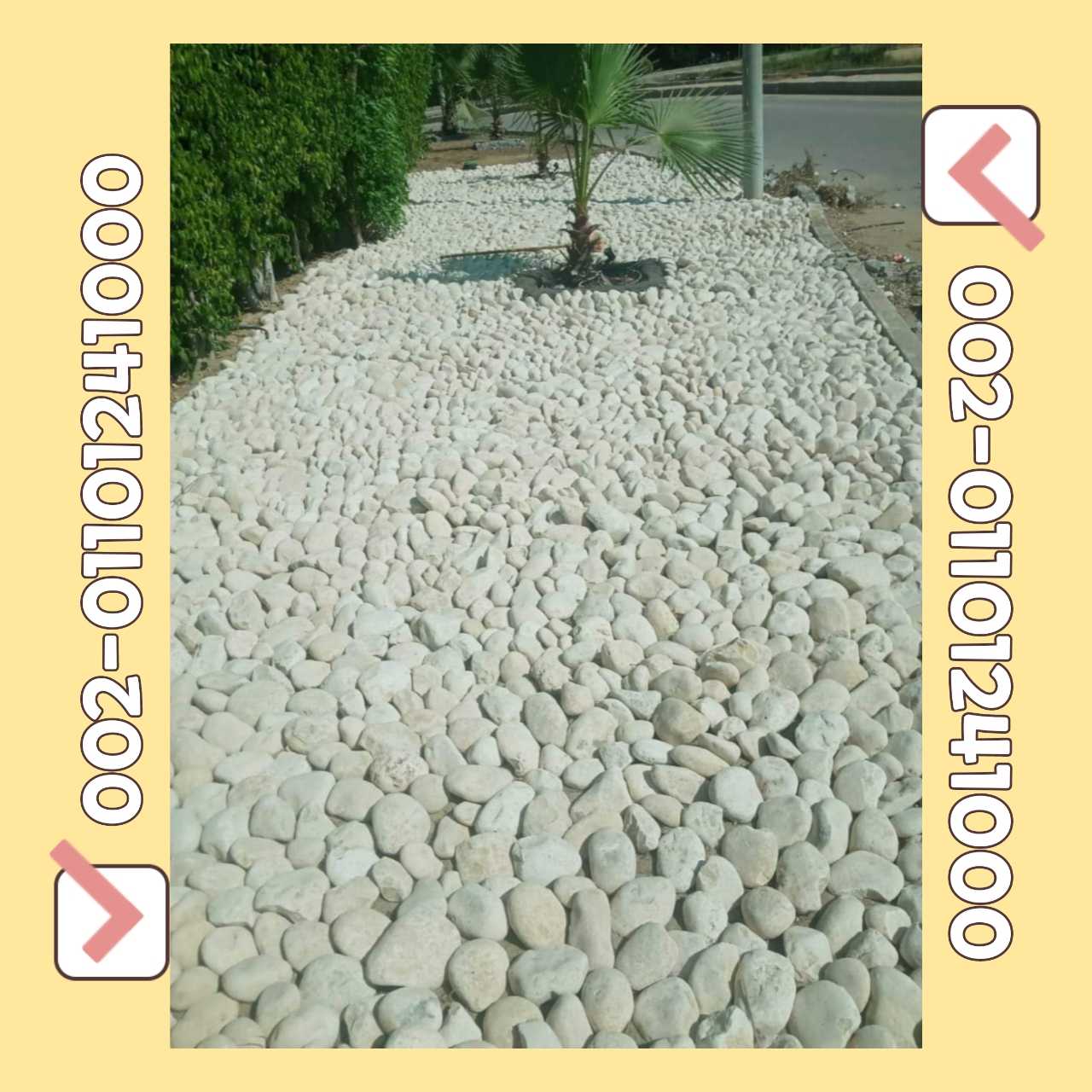 بيع زلط ابيض اسود احمر pebbles for sale 00201101241000في المدينة المنو