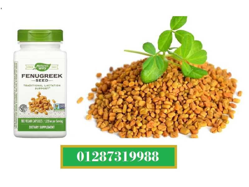 كبسولات الحلبة fenugreek لدعم الرضاعة Nature’s Way 180 كبسولة