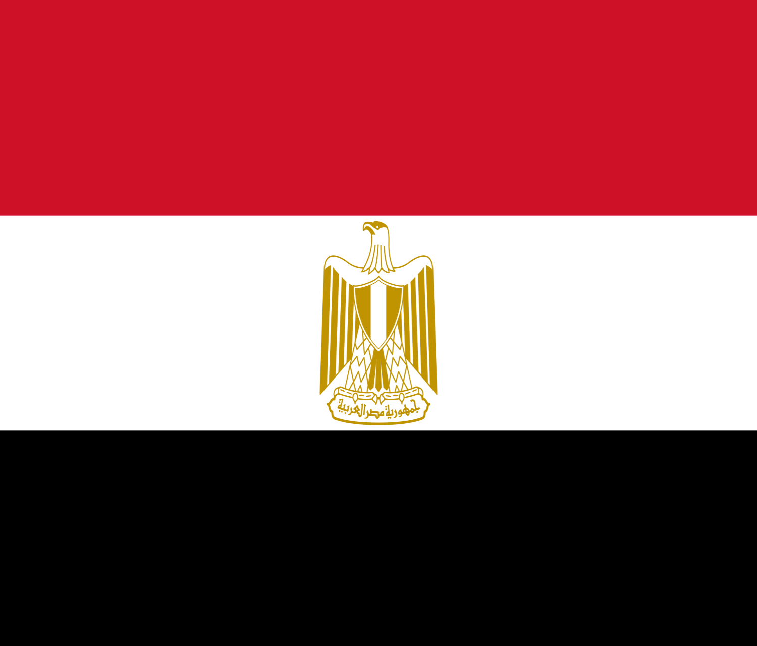 شركة أرسينوي للدراسات والأبحاث وادارة المشروعات - afsrpm